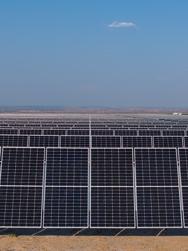 Renewable energy helps Yas Marina draw less electricity from the grid.