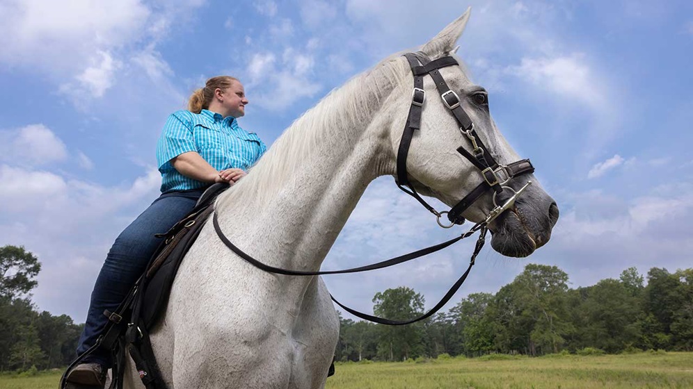 rebecca dallas riding the horse techron