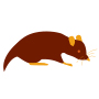 Small mammal graphic